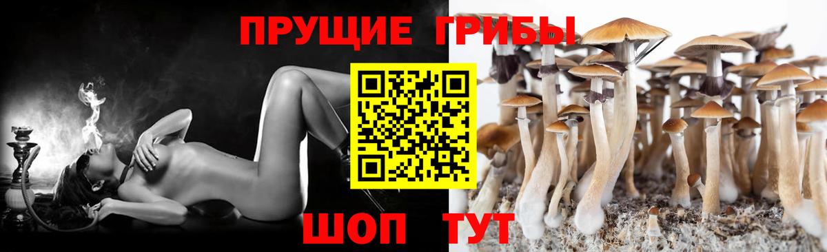 Барнаул  Псилоцибиновые грибы Cubensis  Вход с VPN  Псилоцибиновые грибы MAGIC MUSHROOMS 